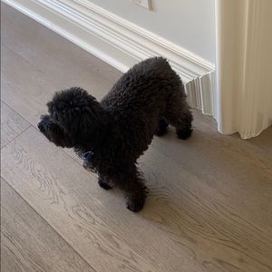 Meet your Posher, Ethan